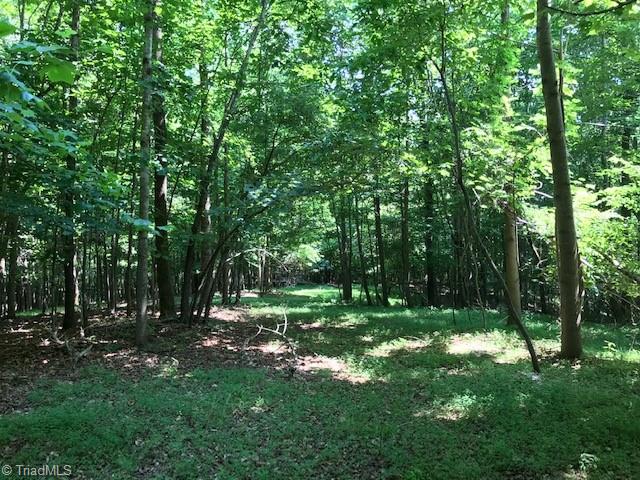 0 Marion Road Elkin, NC 28621 - Photo 6 of 13 Gallery Image 6