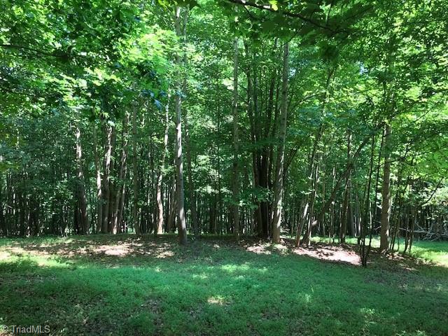 0 Marion Road Elkin, NC 28621 - Photo 8 of 13 Gallery Image 8