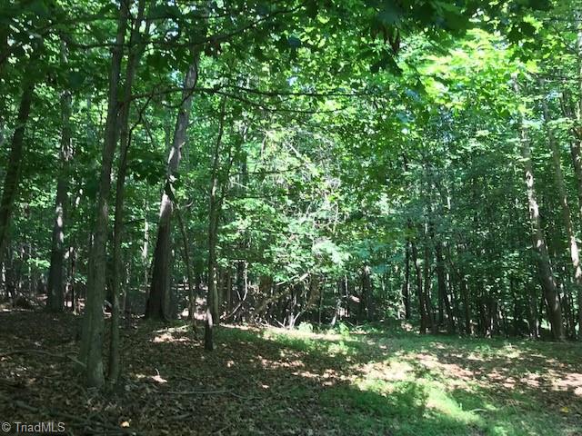 0 Marion Road Elkin, NC 28621 - Photo 10 of 13 Gallery Image 10