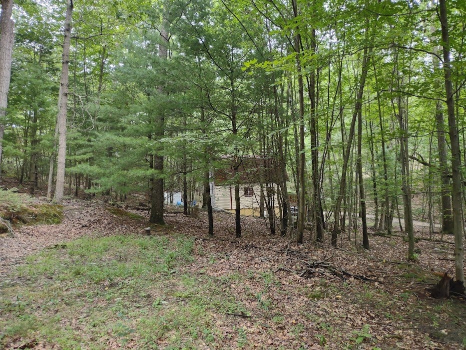6647 Rockytop Road Alexandria, PA 16611 - Photo 8 of 21 Gallery Image 8