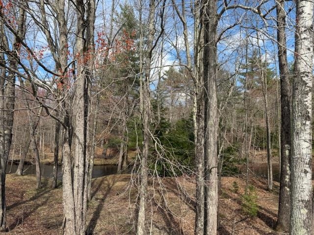 68 Daffodil Hill Lane Rochester, NH 03868 - Photo 48 of 51