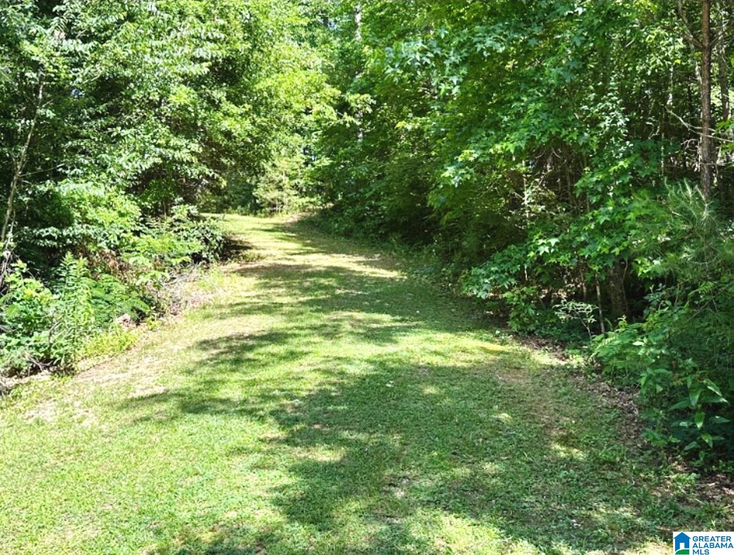 Brookwater Way, Unit 1 4 Wedowee, AL 36278 - Photo 3 of 13