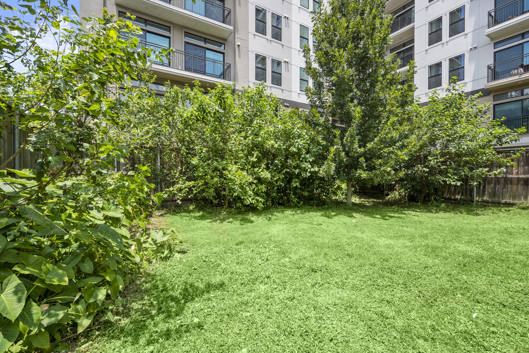 1409 Dorothy Street Houston, TX 77008 - Photo 24 of 24