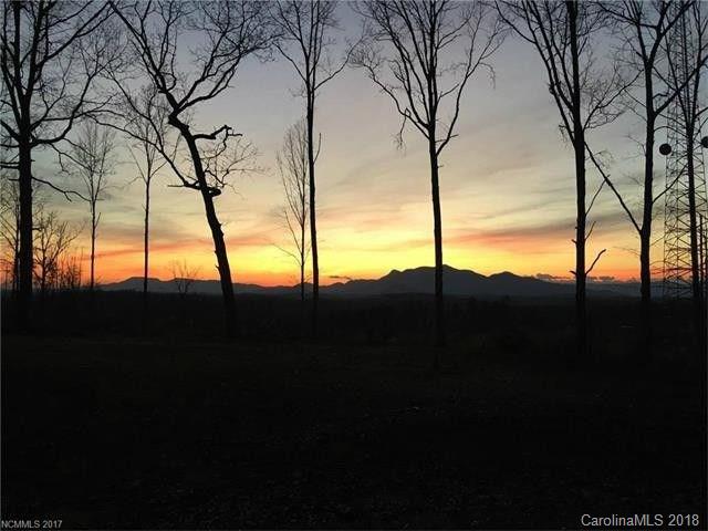 2356 Pea Ridge Road Mill Spring, NC 28756 - Photo 20 of 20