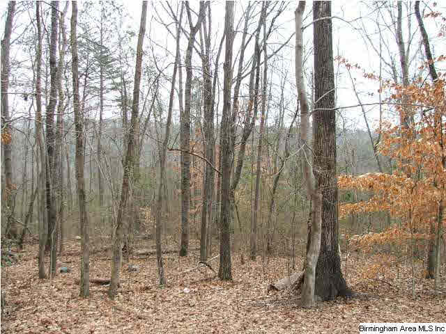 2175 Wayne Road, Unit 1 6 AC Birmingham, AL 35210 - Photo 2 of 4
