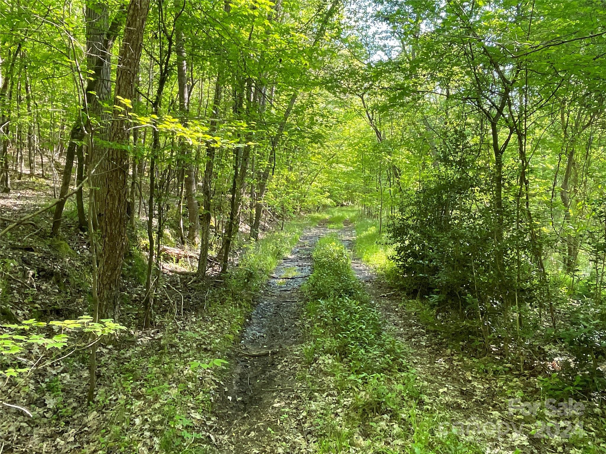 1265 North Burris Road Sharon, SC 29742 - Photo 12 of 34 a view of a garden