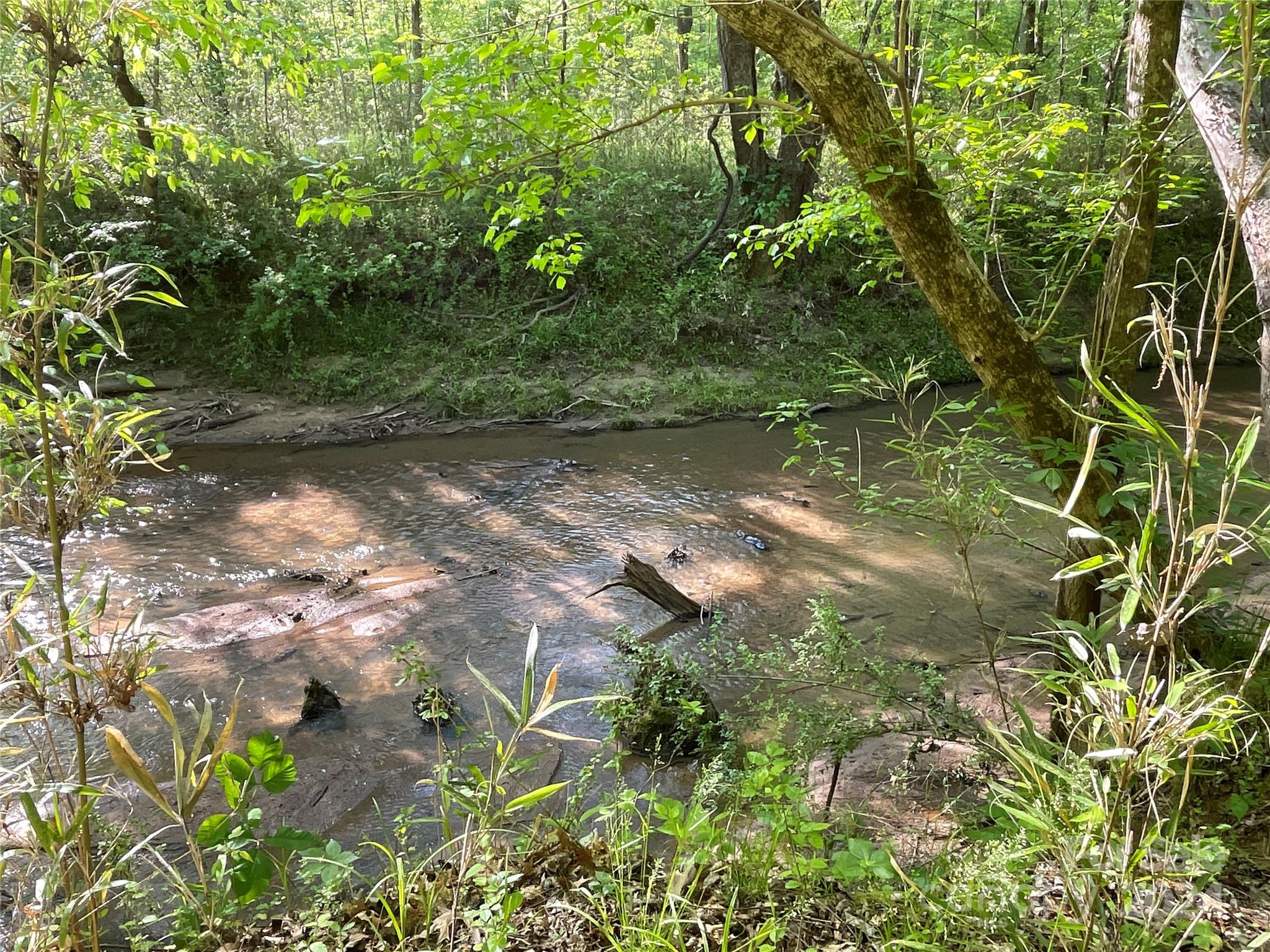 1265 North Burris Road Sharon, SC 29742 - Photo 14 of 34 a view of a tree with a yard