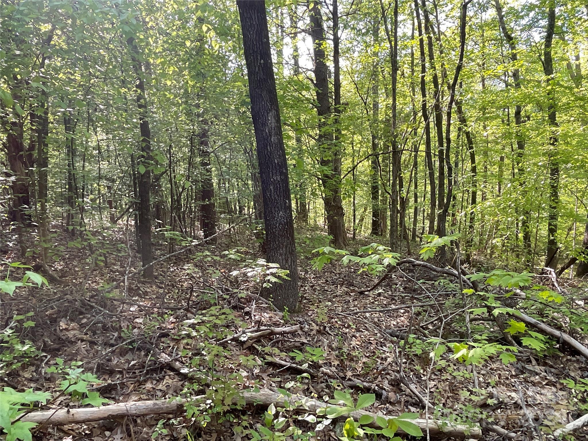 1265 North Burris Road Sharon, SC 29742 - Photo 16 of 34 a view of outdoor space and green space