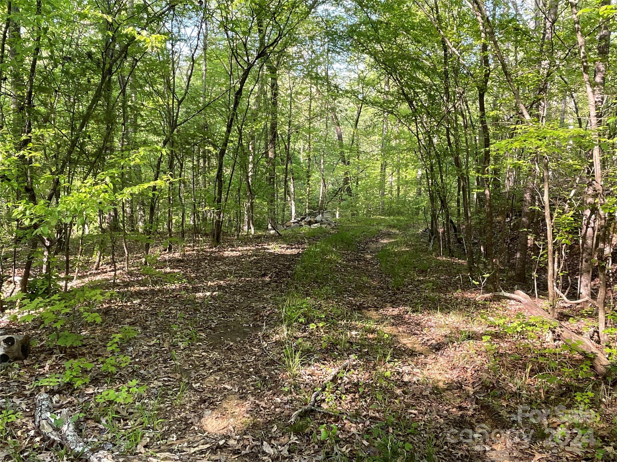 1265 North Burris Road Sharon, SC 29742 - Photo 17 of 34 a view of outdoor space and yard