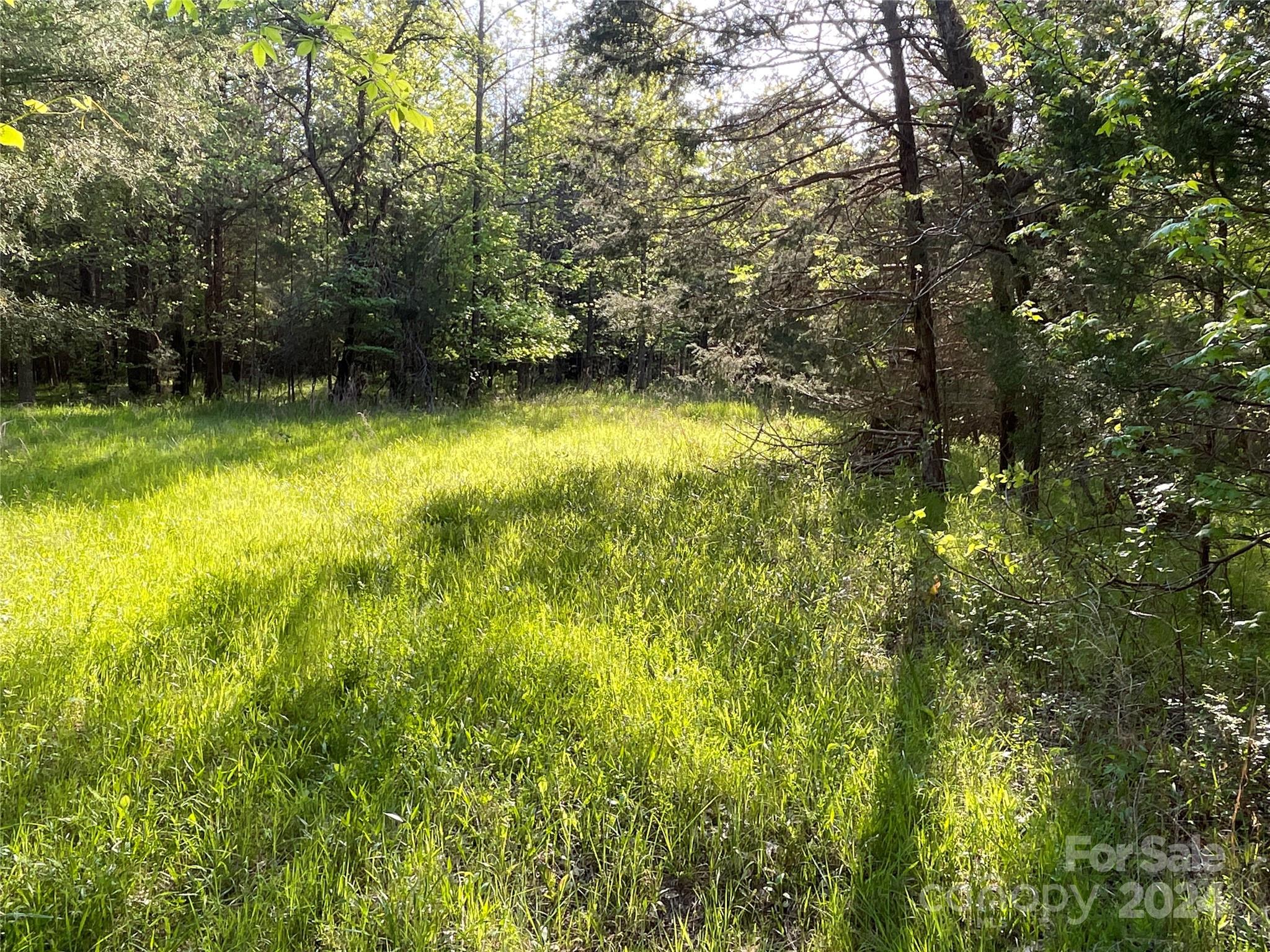 1265 North Burris Road Sharon, SC 29742 - Photo 19 of 34 a view of yard with swimming pool and green space
