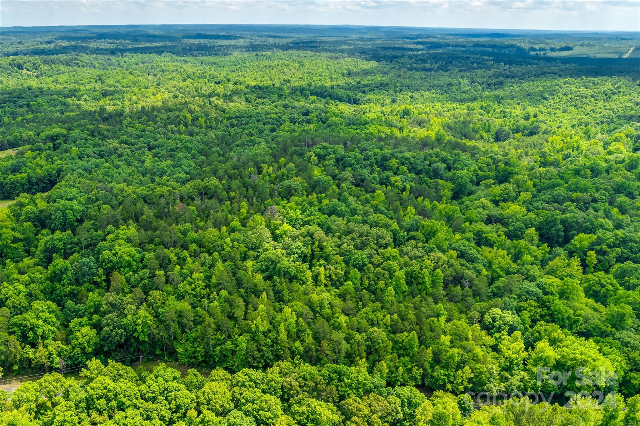 1265 North Burris Road Sharon, SC 29742 - Photo 24 of 34 a view of a garden