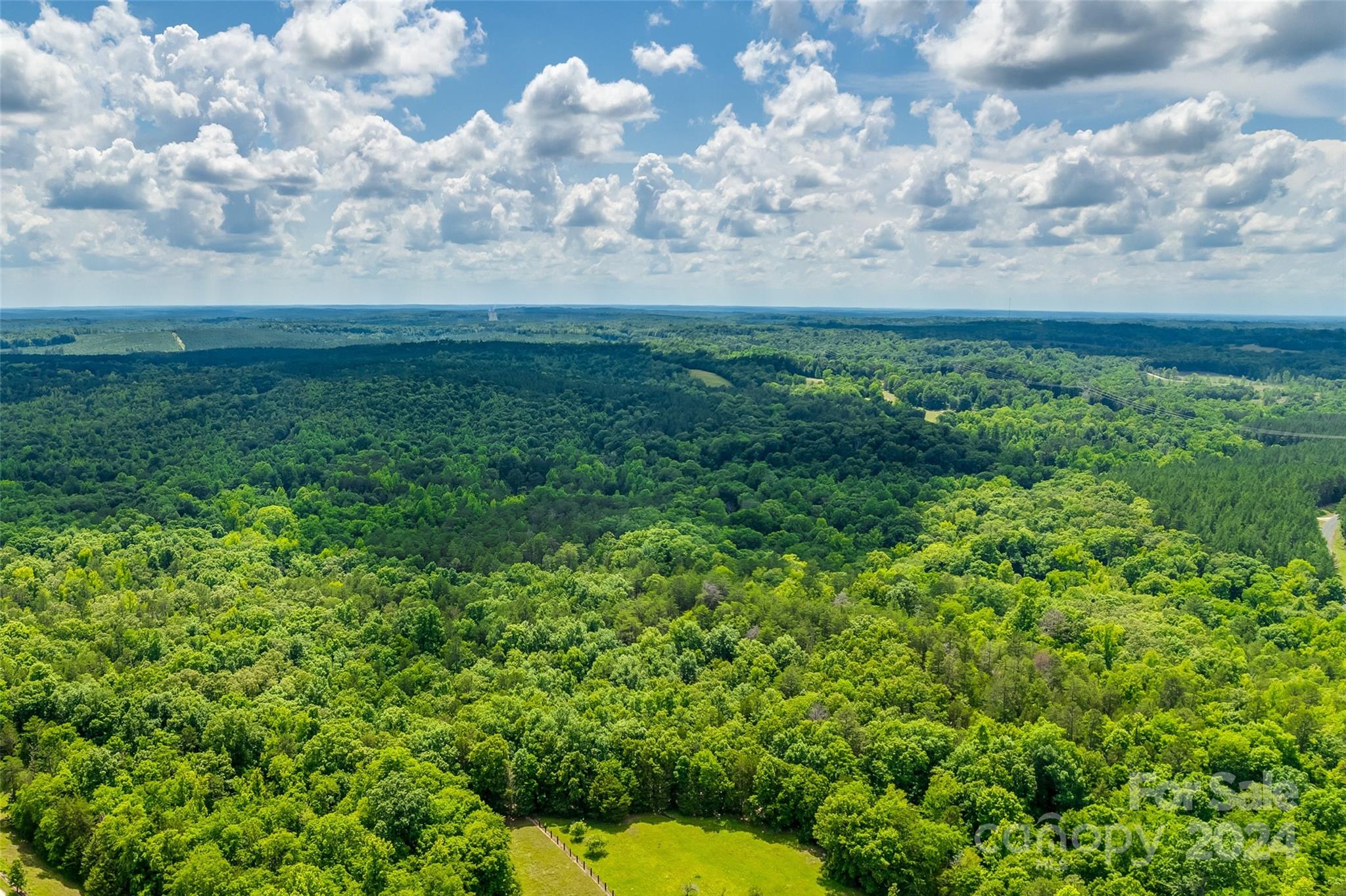 1265 North Burris Road Sharon, SC 29742 - Photo 25 of 34 a view of yard with lots of green space