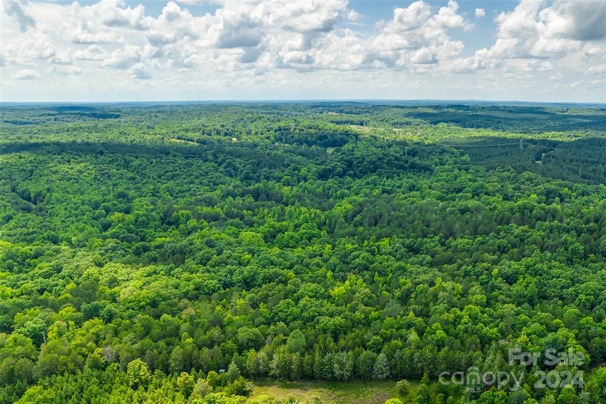 1265 North Burris Road Sharon, SC 29742 - Photo 26 of 34 a view of a yard with an outdoor space