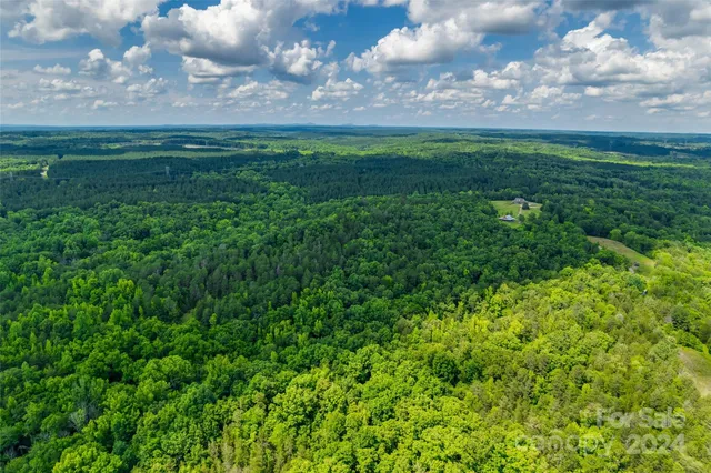 a view of a big yard with a garden and yard