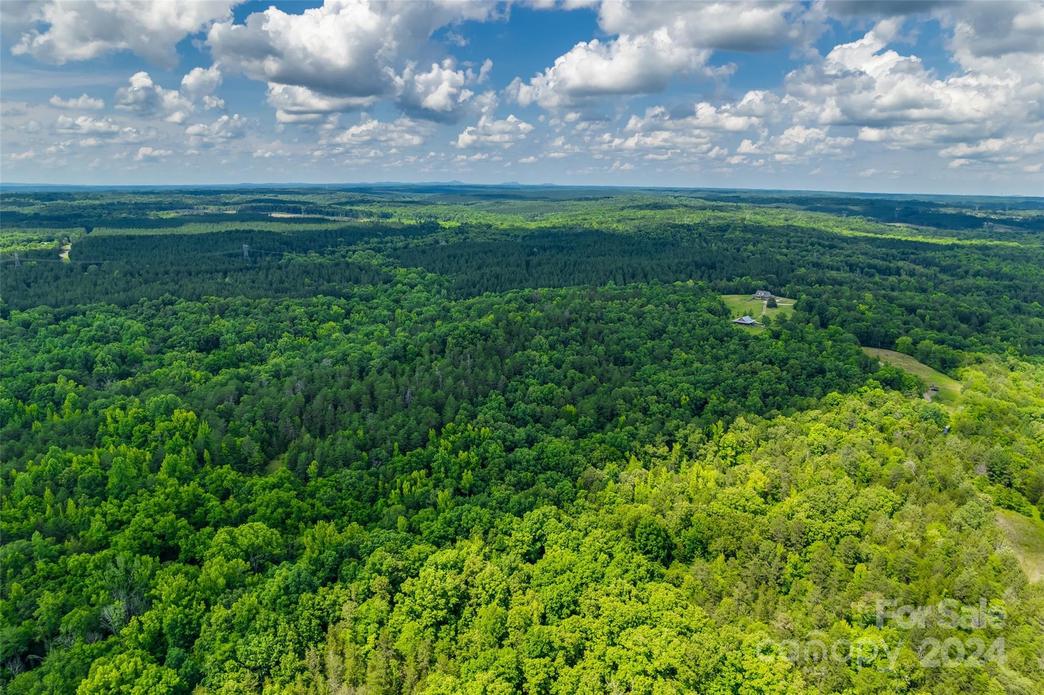 1265 North Burris Road Sharon, SC 29742 - Photo 27 of 34 a view of a big yard with lots of green space