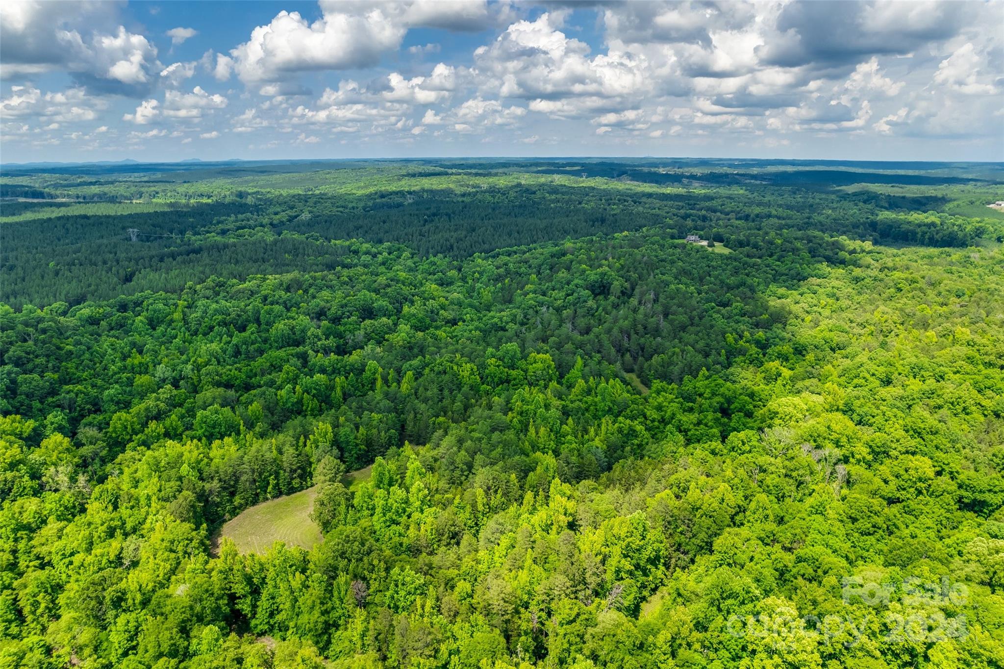 1265 North Burris Road Sharon, SC 29742 - Photo 28 of 34 a view of a big yard with a garden and yard