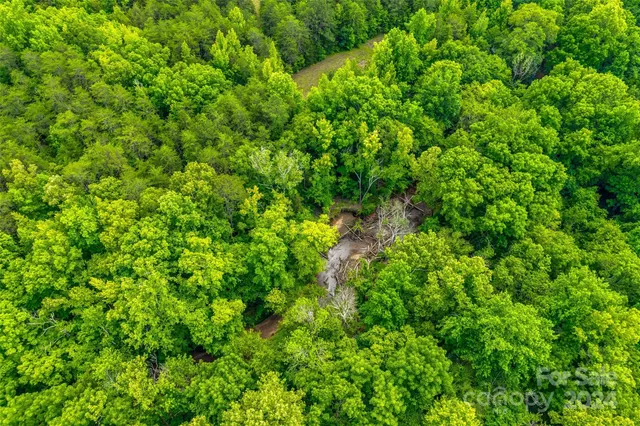 a view of a garden with an outdoor space