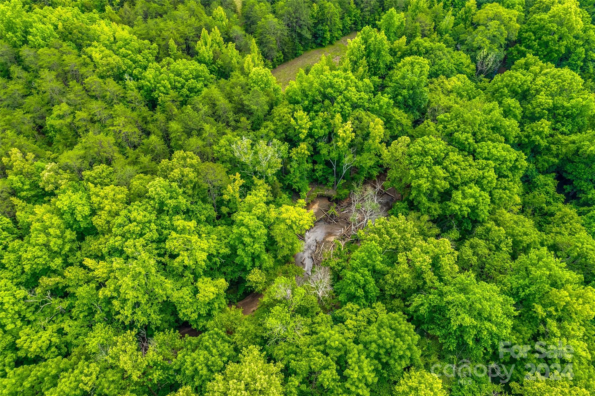 1265 North Burris Road Sharon, SC 29742 - Photo 30 of 34 a view of a lush green forest