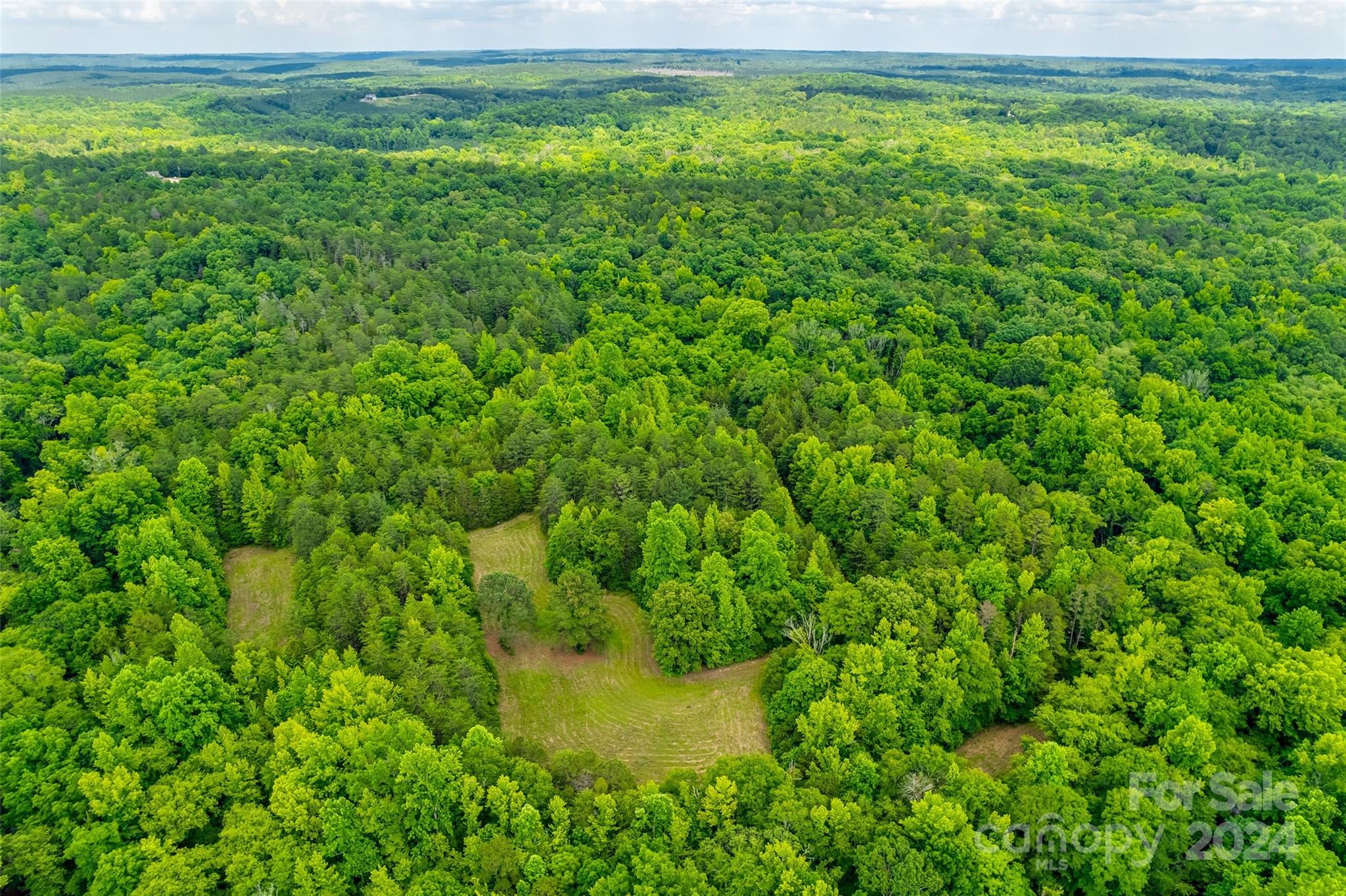 1265 North Burris Road Sharon, SC 29742 - Photo 31 of 34 a view of a garden with an outdoor space