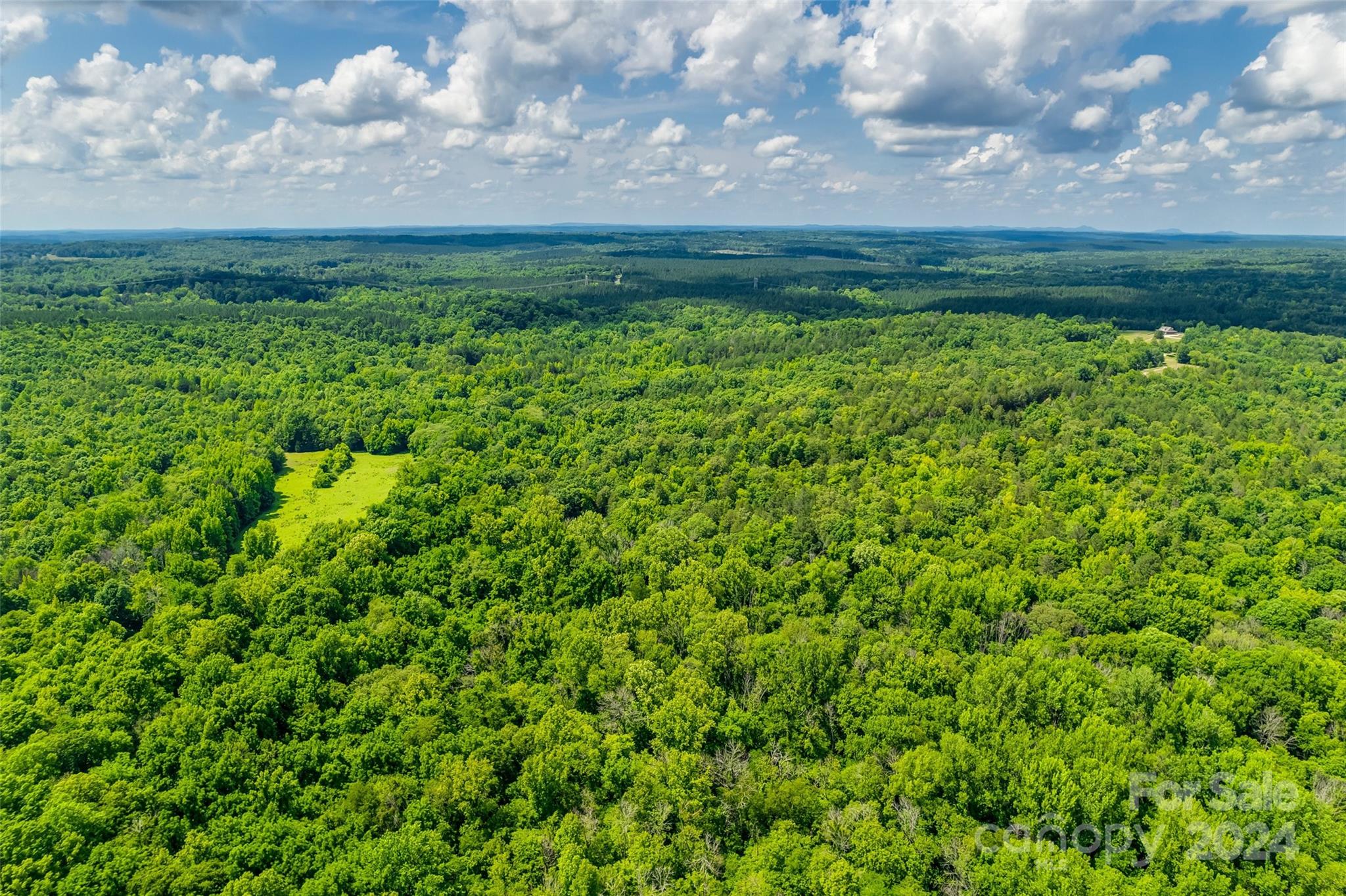 1265 North Burris Road Sharon, SC 29742 - Photo 33 of 34 a view of a bunch of trees