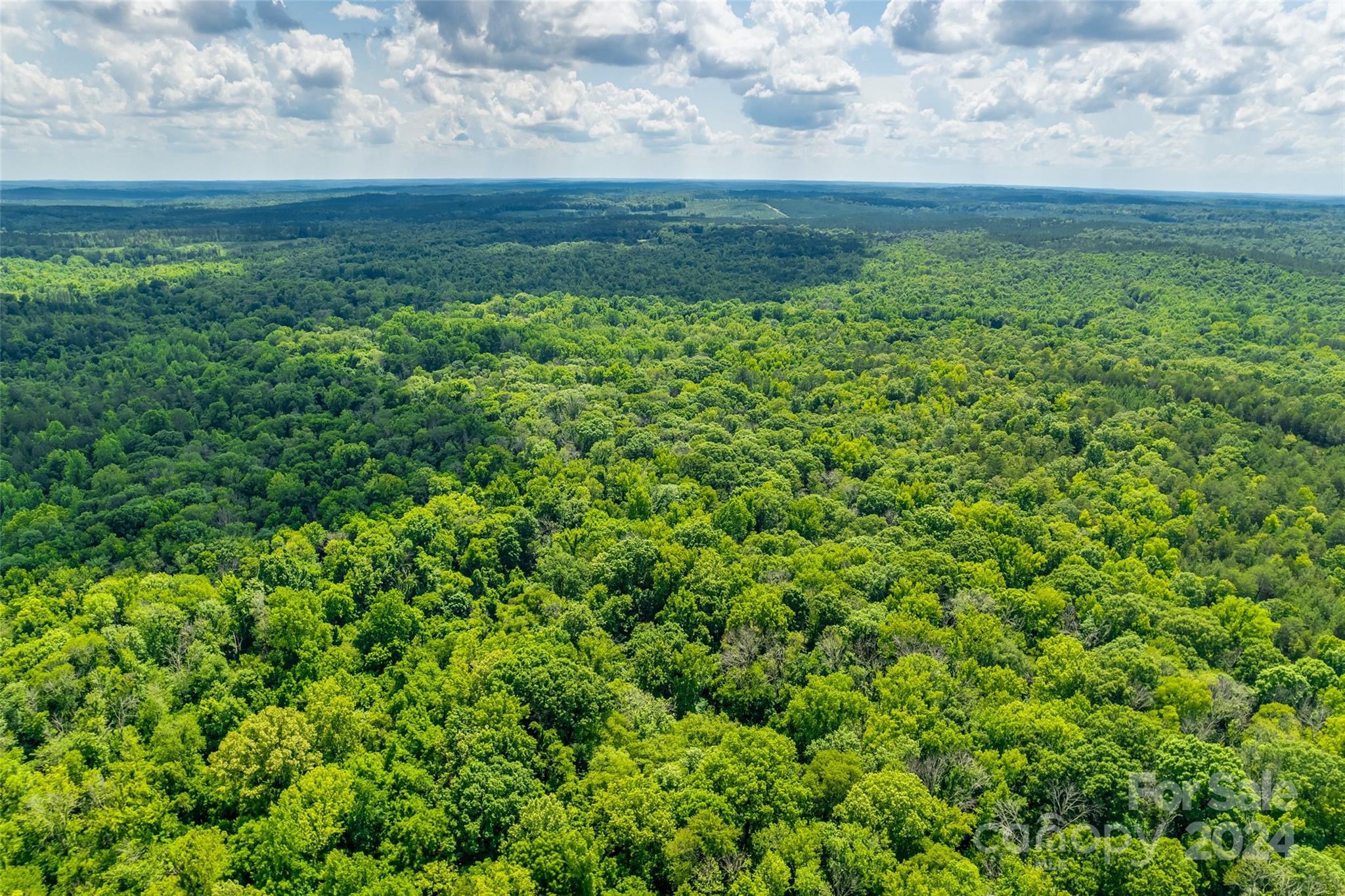 1265 North Burris Road Sharon, SC 29742 - Photo 34 of 34 a view of yard with large trees