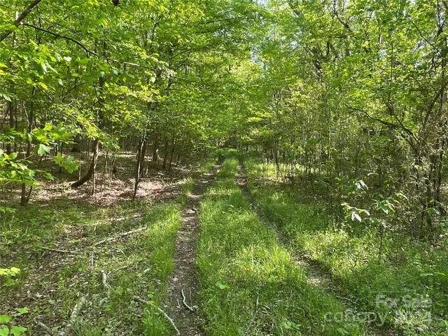 a view of a lush green space