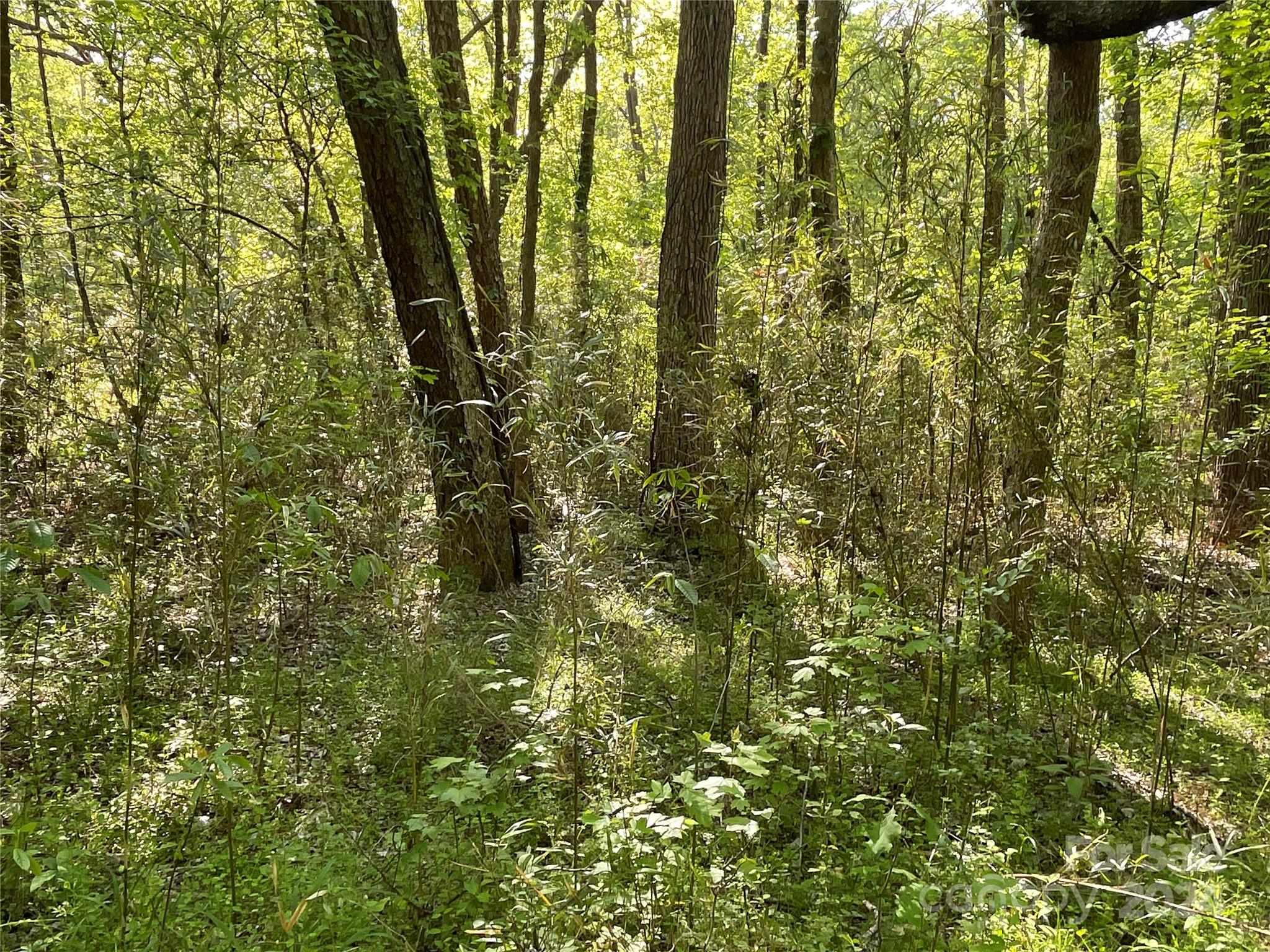1265 North Burris Road Sharon, SC 29742 - Photo 10 of 34
