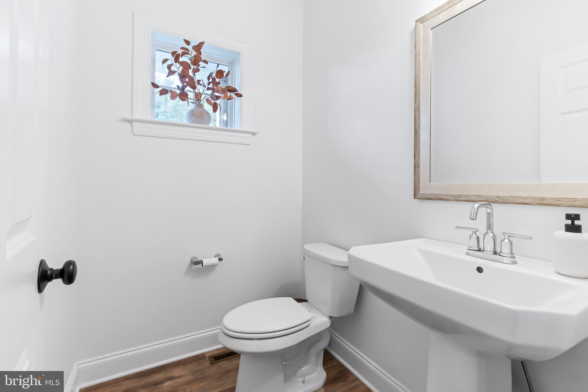 19 Springview Drive Lititz, PA 17543 - Photo 10 of 22 1st Floor Powder Room