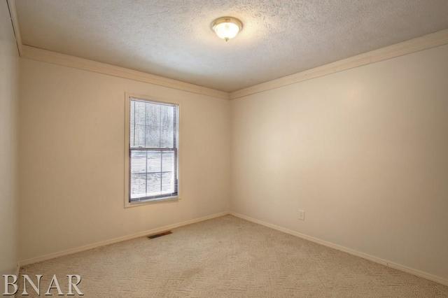 727 Kickapoo Drive Danvers, IL 61732 - Photo 14 of 27
