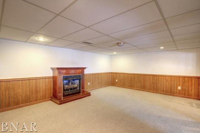 727 Kickapoo Drive Danvers, IL 61732 - Photo 19 of 27