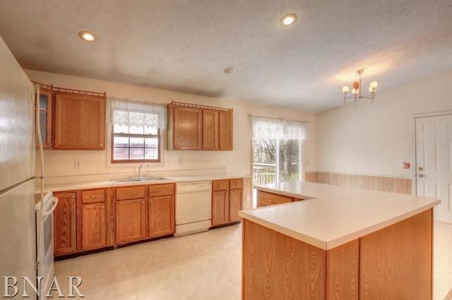 727 Kickapoo Drive Danvers, IL 61732 - Photo 7 of 27