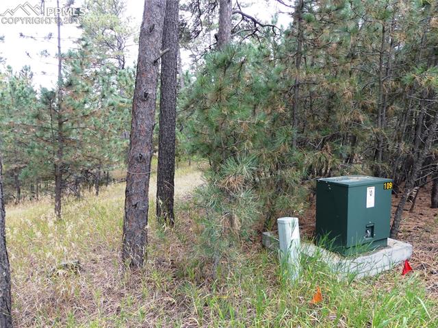 18115 Cumbres Road Peyton, CO 80831 - Photo 7 of 16 Gallery Image 7