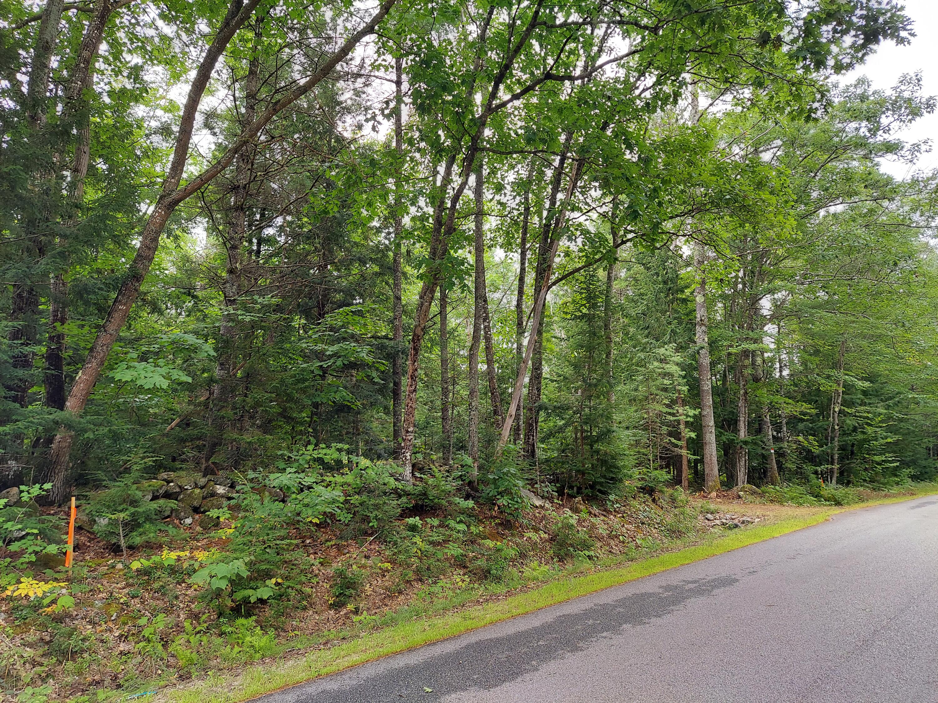 Tbd Thomas Hill Road Norway, ME 04268 - Photo 2 of 3 Thomas Hill Left