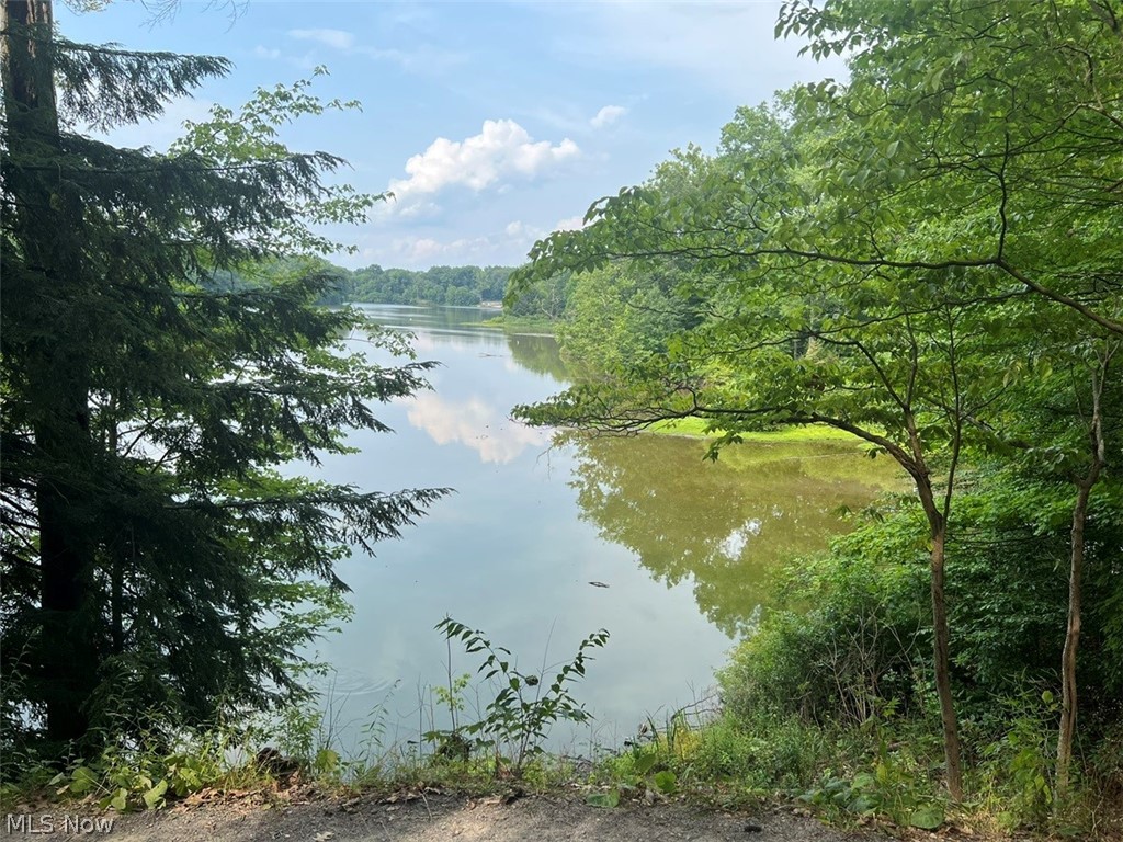 759 Truesdale Road Youngstown, OH 44511 - Photo 35 of 37 Newport Lake Views