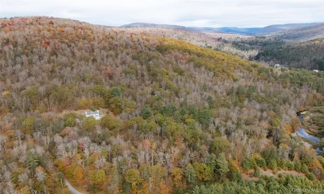 a view of a forest with a yard