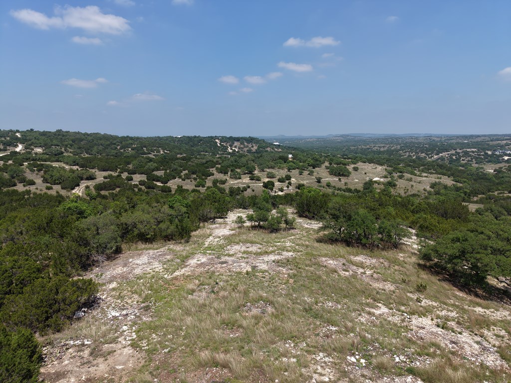2 Sanctuary Lane, Unit 2 Blanco, TX 78606 - Photo 4 of 13