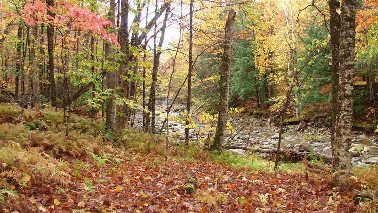 4690 Vermont Rte 100 Warren, VT 05674 - Photo 7 of 9