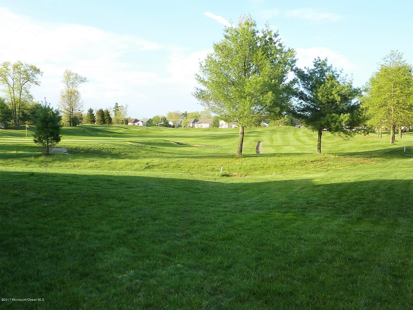 62 Barton Creek Road Jackson, NJ 08527 - Photo 24 of 25 P1110187