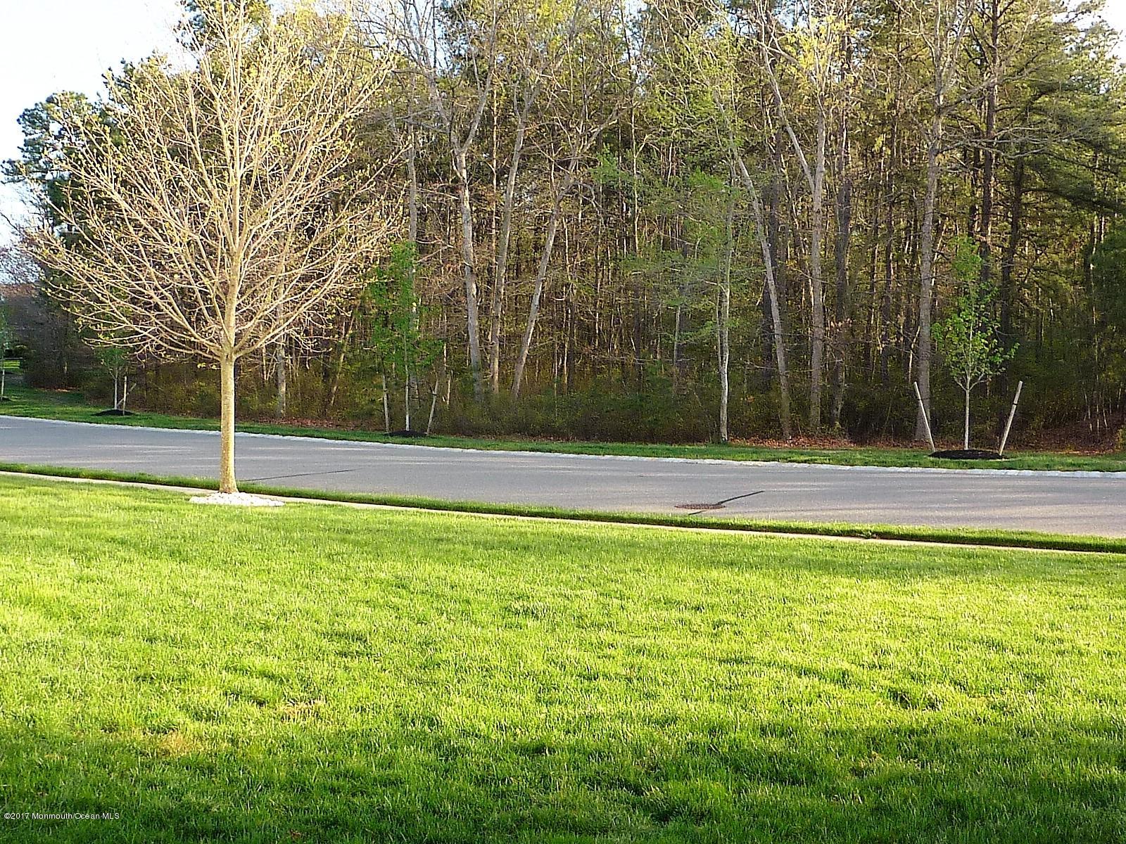 62 Barton Creek Road Jackson, NJ 08527 - Photo 25 of 25 P1110189