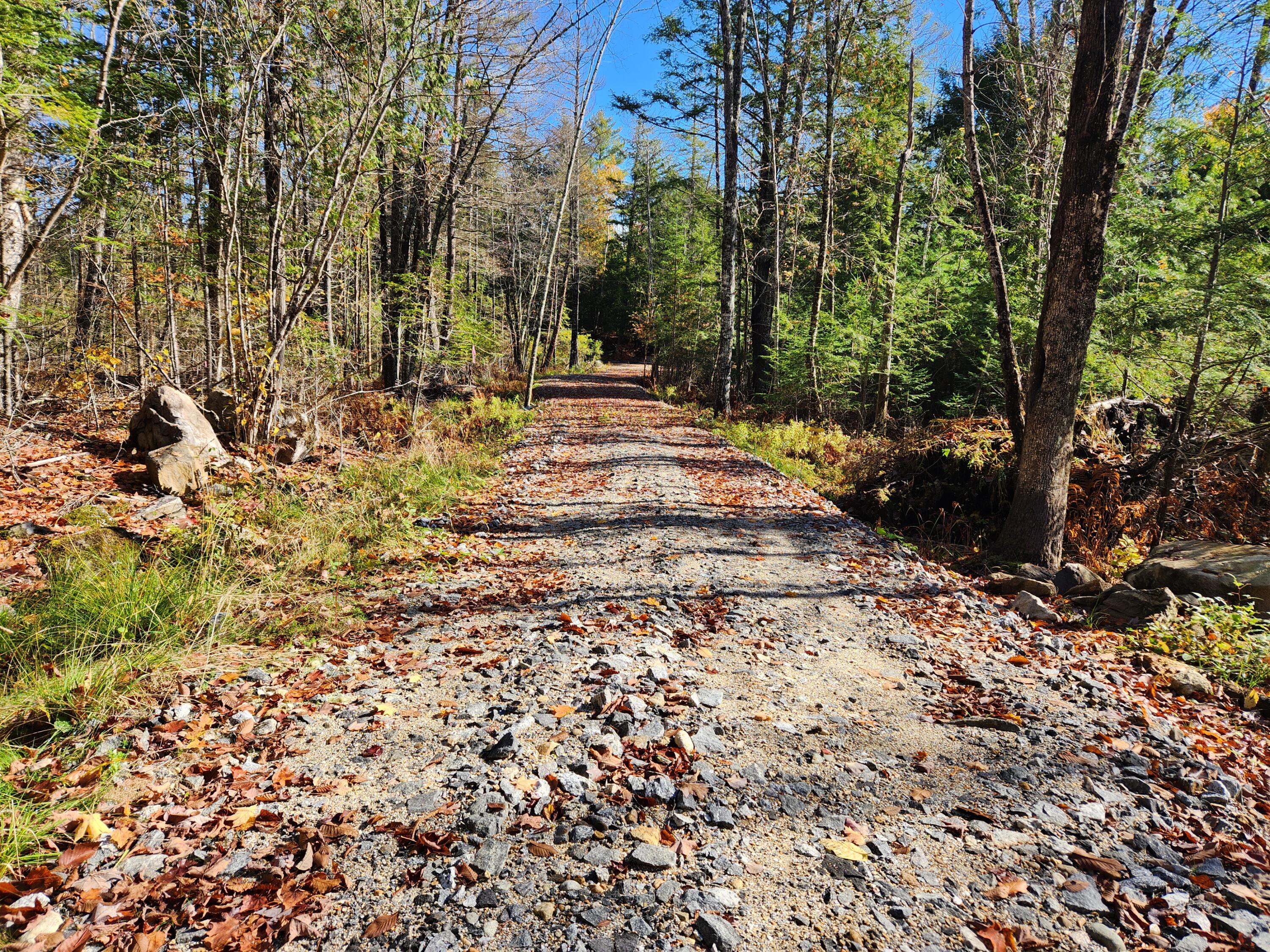 6 C Old Sumner Road Buckfield, ME 04220 - Photo 1 of 20 20221015_105936