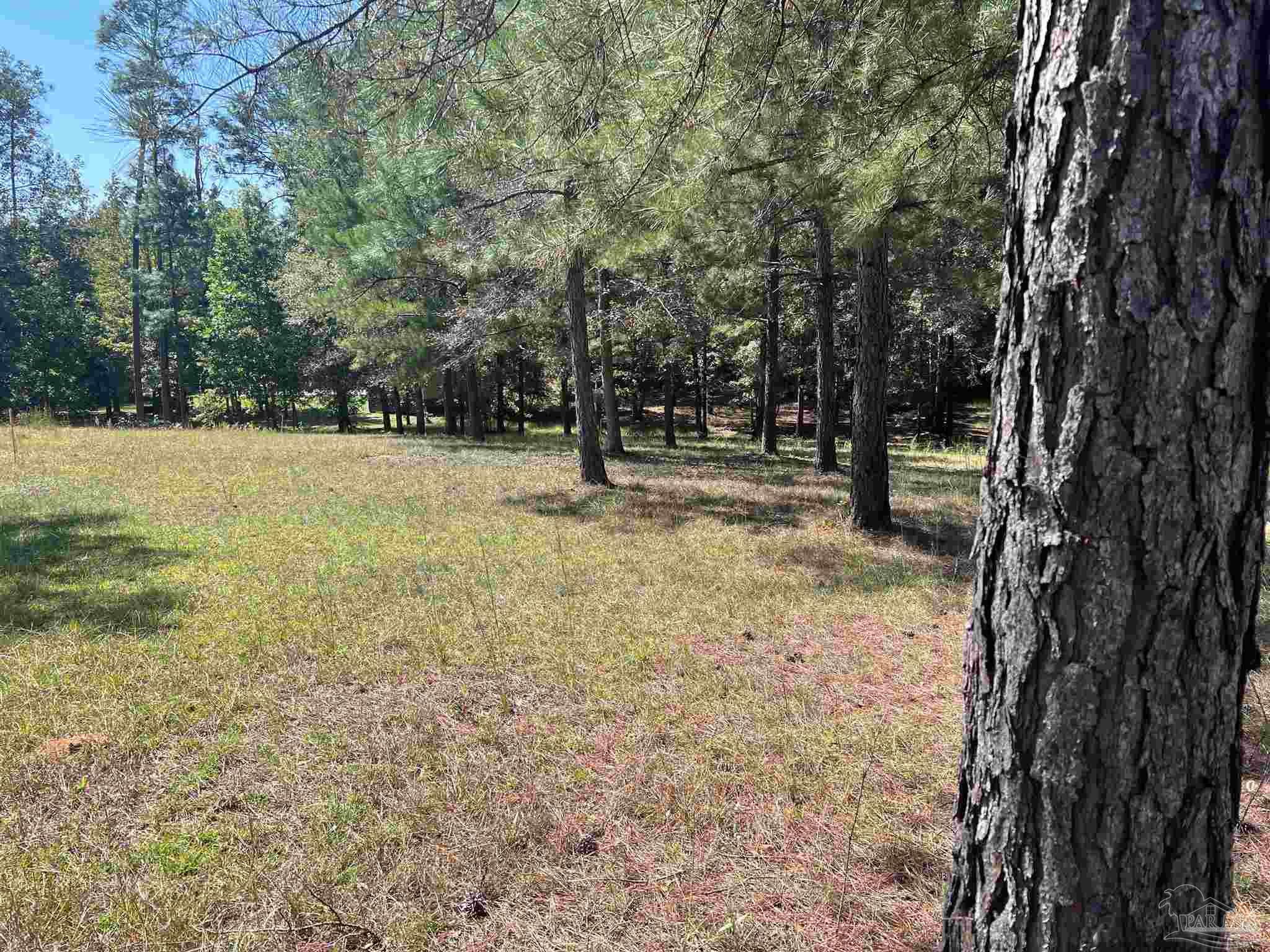0 Longleaf Ridge Road Atmore, AL 36502 - Photo 2 of 10 a backyard of a house with lots of green space