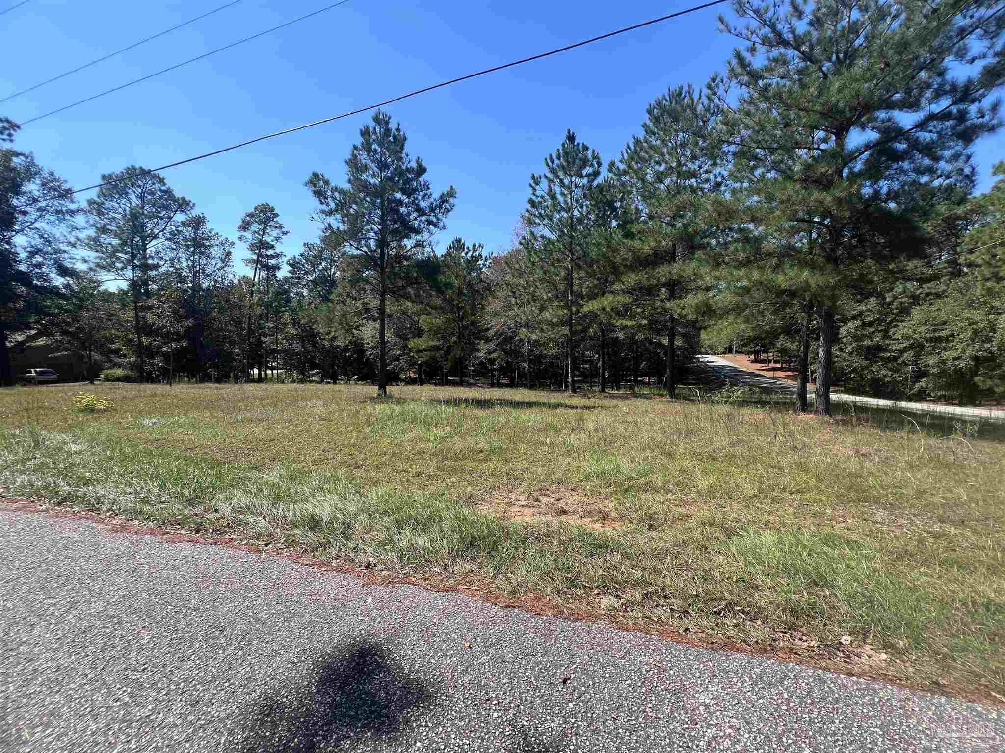 0 Longleaf Ridge Road Atmore, AL 36502 - Photo 3 of 10 a backyard of a house with lots of green space