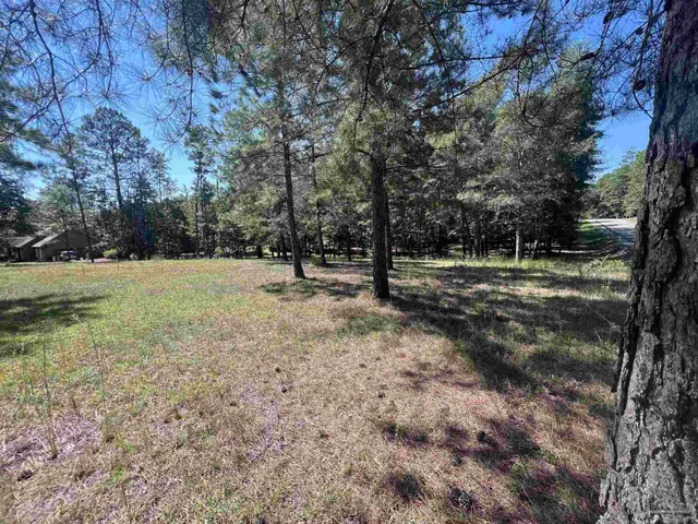 a view of outdoor space with trees