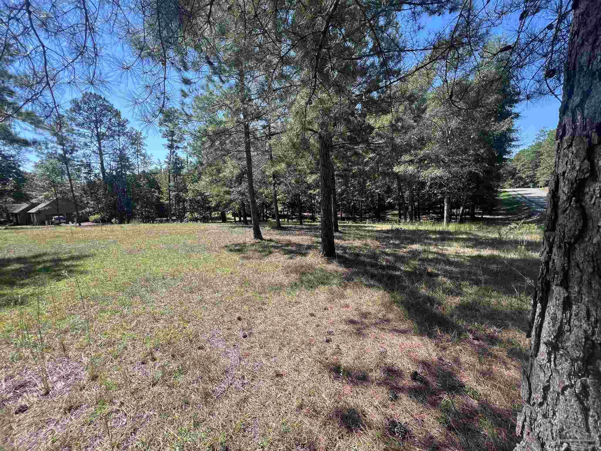 0 Longleaf Ridge Road Atmore, AL 36502 - Photo 4 of 10 a view of outdoor space with trees