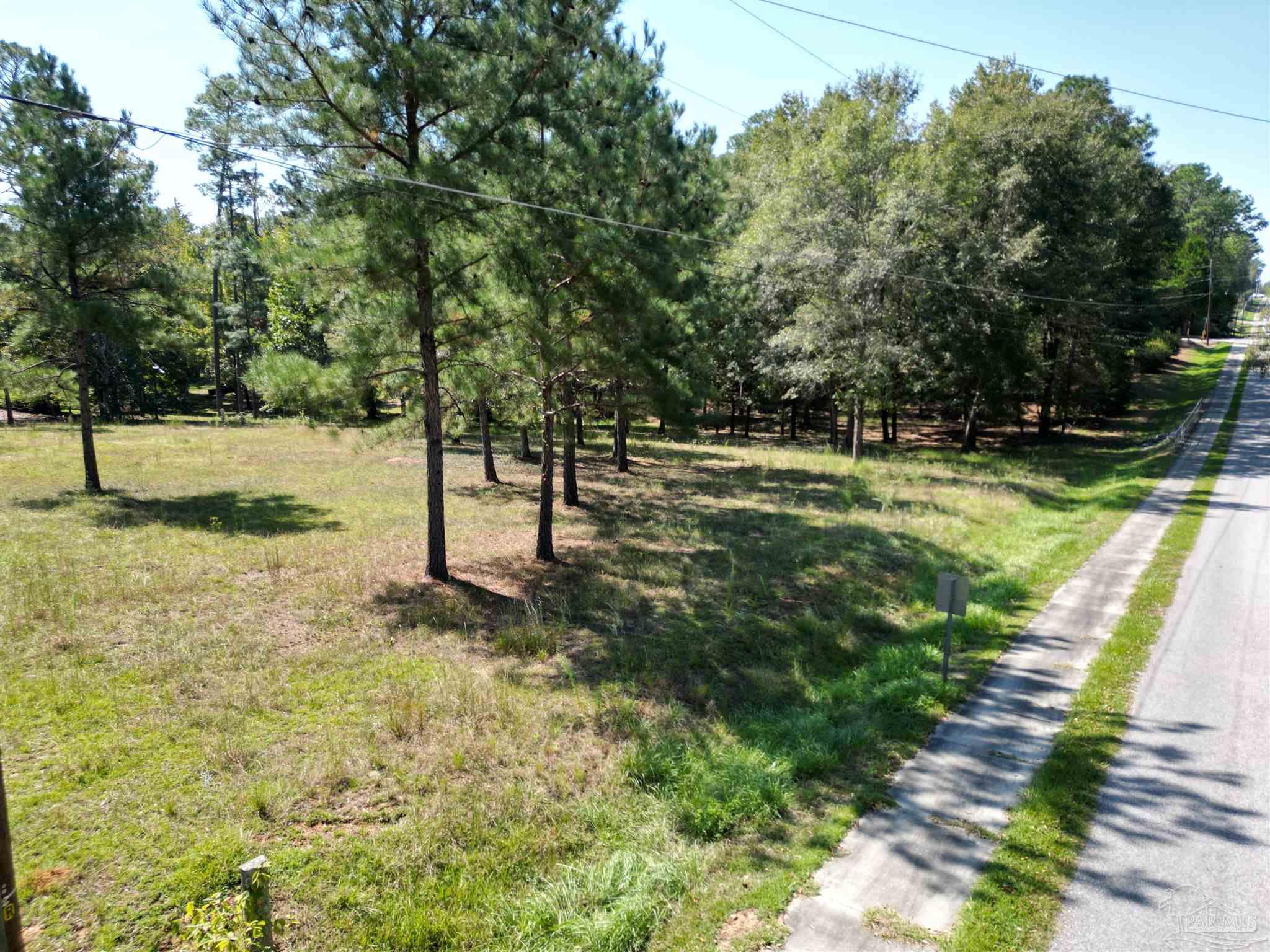 0 Longleaf Ridge Road Atmore, AL 36502 - Photo 8 of 10 a view of a yard with trees