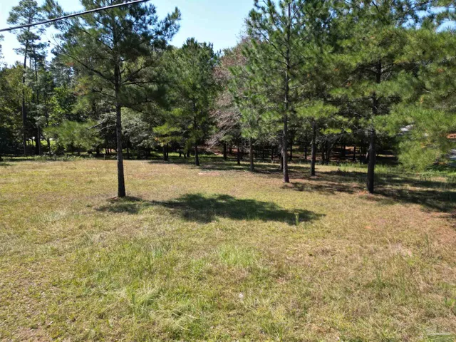 a view of a yard with a tree
