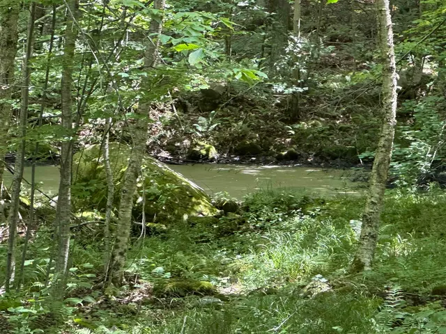 $179,000 | 344 Hemlock Lane, Ripton, VT 05766