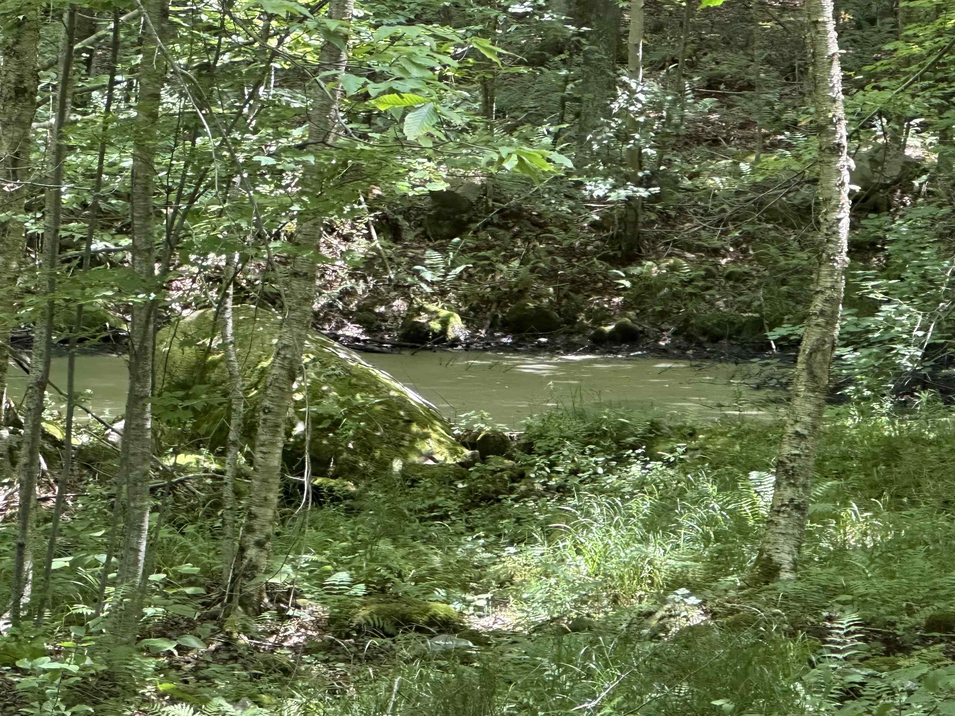 344 Hemlock Lane Ripton, VT 05766 - Photo 25 of 29