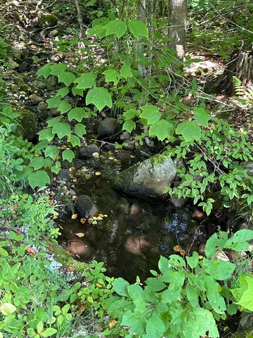 $179,000 | 344 Hemlock Lane, Ripton, VT 05766