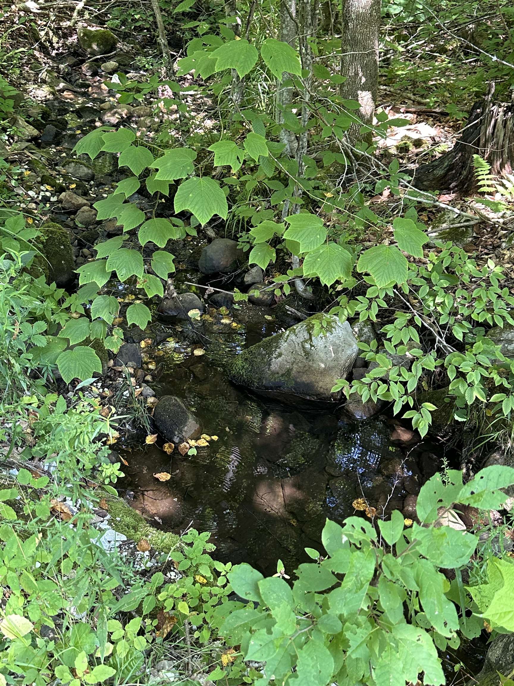 344 Hemlock Lane Ripton, VT 05766 - Photo 26 of 29